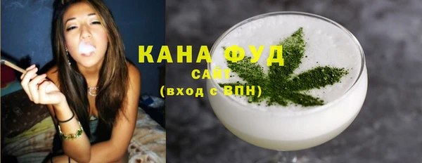 индика Алзамай