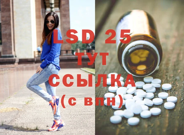 индика Алзамай