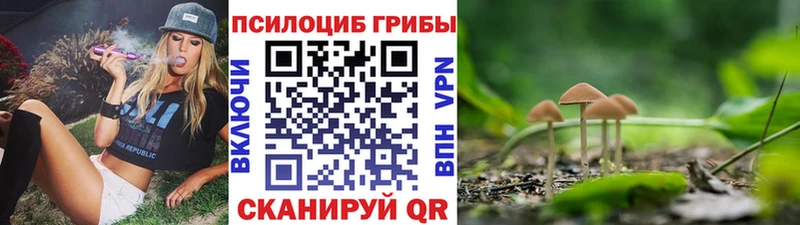 Галлюциногенные грибы Psilocybe  blacksprut вход  Мышкин 